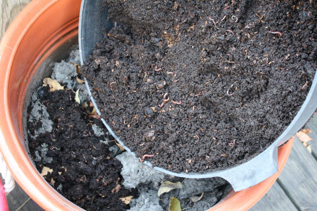 A worm bin tray filled with composted food scraps, being dumped into a garden pot on a deck.