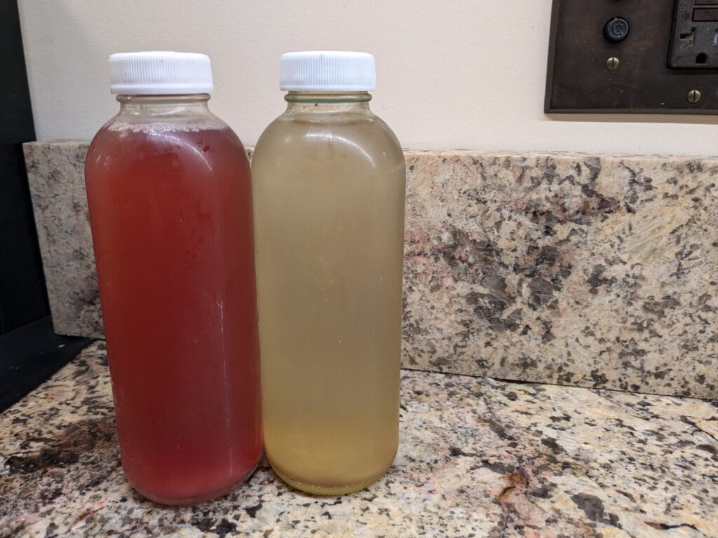 two probiotic beverages in bottles: water kefir and jun (green tea and honey kombucha).