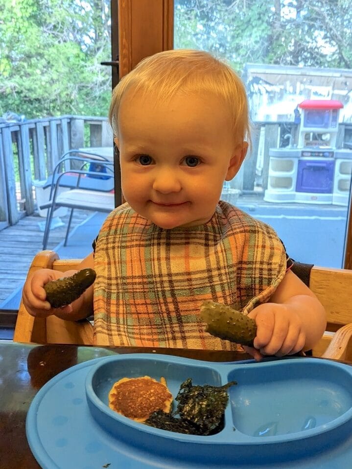 A cute little caucasian baby sitting in a wooden high chair that pulls right up to her family's table. She's holding a naturally fermented pickle in each hand, excited to take a bite!