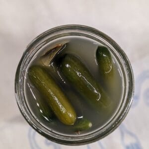 An open quart sized Maxon jar packed with mini cucumbers that have naturally fermented in a salt brine, sitting on a linen tea towel on the counter.