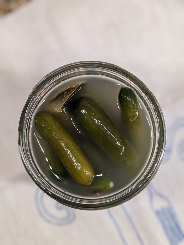 An open quart sized Maxon jar packed with mini cucumbers that have naturally fermented in a salt brine, sitting on a linen tea towel on the counter.