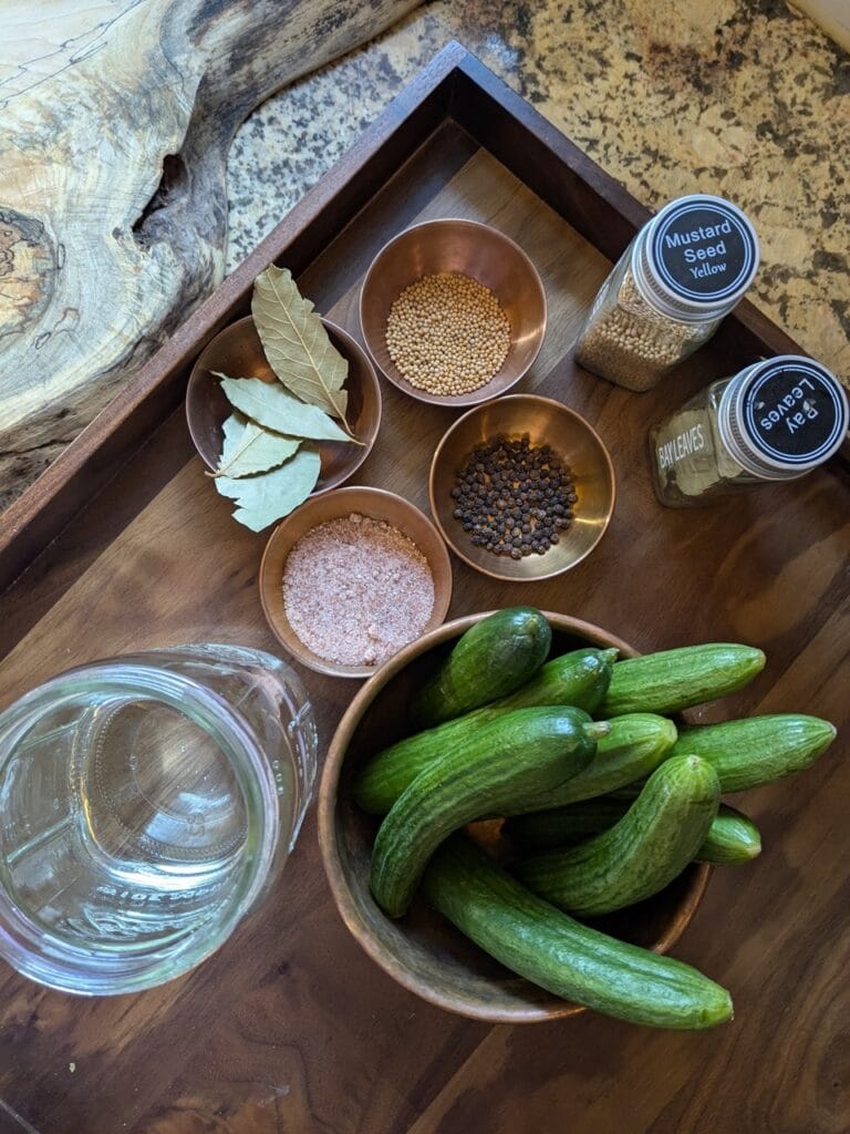 The ingredients laid out for making your own naturally fermented pickles in winter: salt, water, cucumbers and spices.
