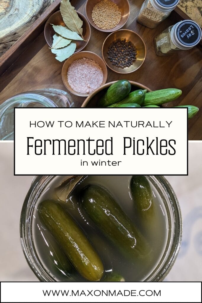 Learn how to make naturally fermented pickles in winter without any special equipment and keep your gut flora optimized in every season.