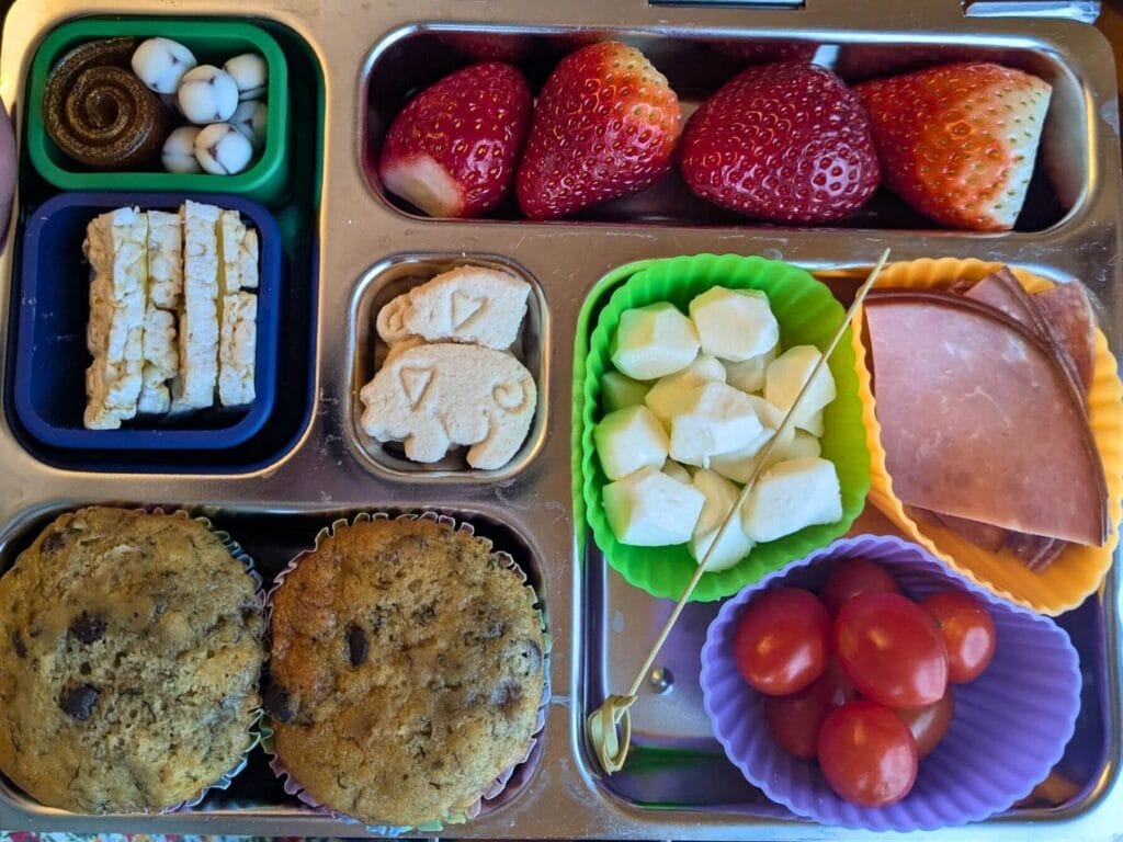 kid approved school lunch packed at home - learn How To Make Balanced School Lunches