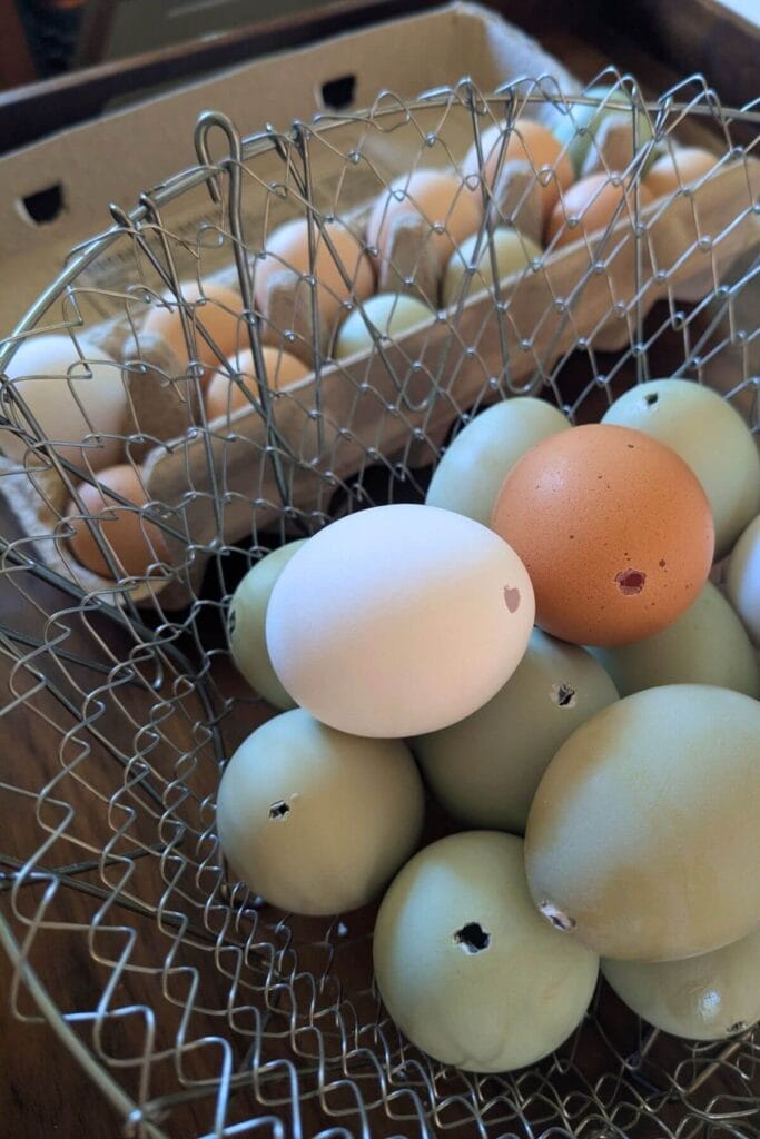 Multiple eggs being hollowed out using a turkey baster bulb with a carton of empty eggshells drying nearby for decorating