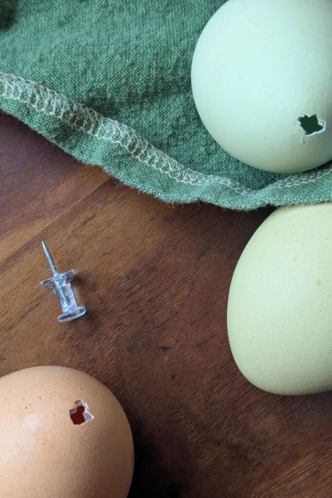 Multiple eggs being hollowed out using a push pin with empty eggshells drying nearby for decorating