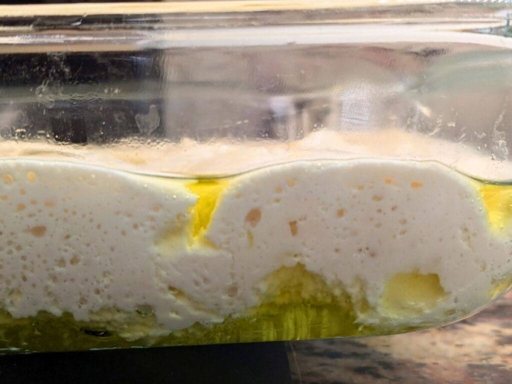 This is a close-up side shot of the dough after rising in the baking pan all day and getting dimpled down before baking.
