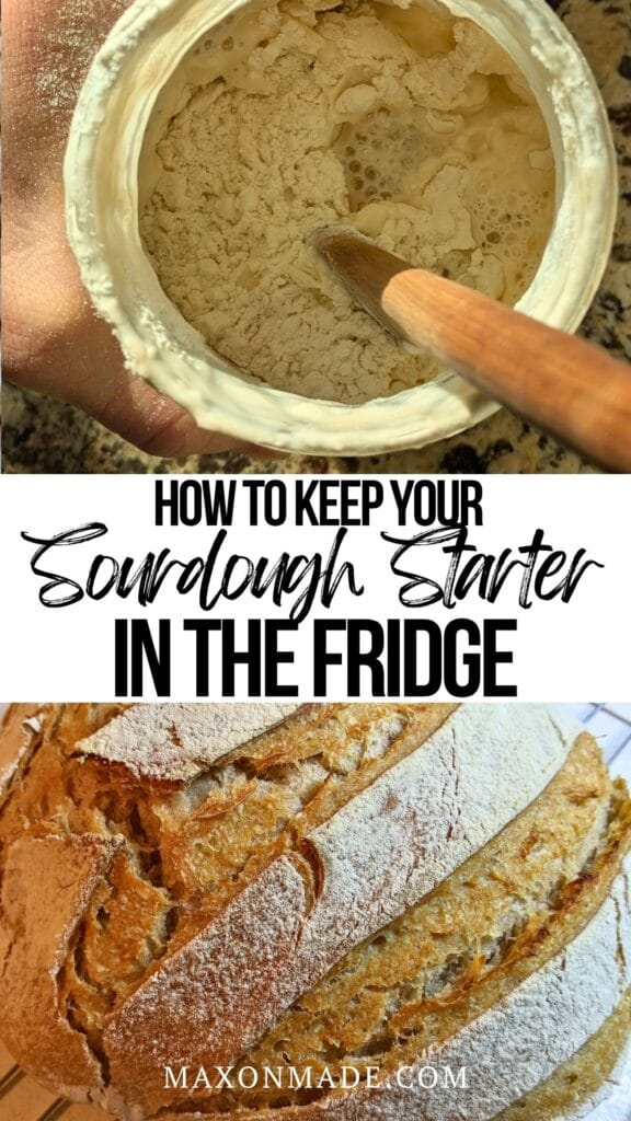 Sourdough Starter in the Fridge (The Easy, Low-Maintenance Way)