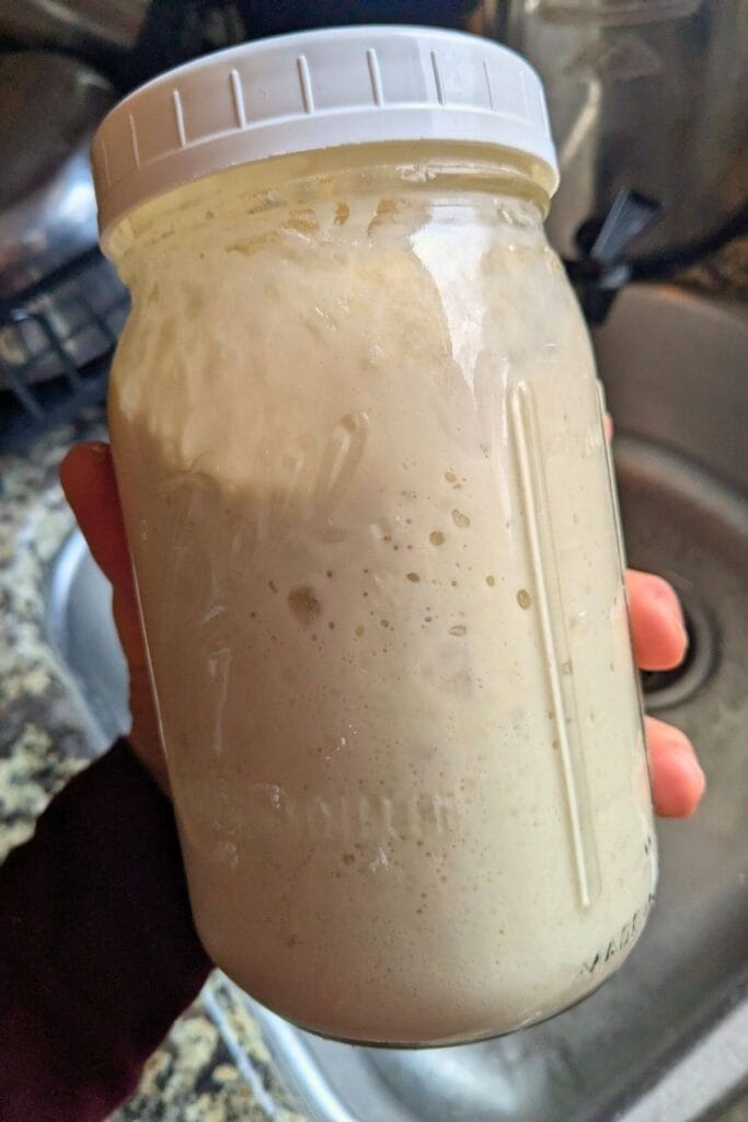 a full jar of sourdough starter that has just been fed, left to ferment for a day to become active and will be kept in the fridge to be easy and low maintenance