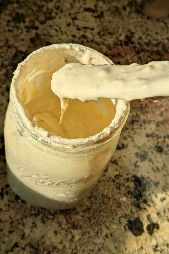 showing the pudding like consistency of a freshly fed sourdough starter